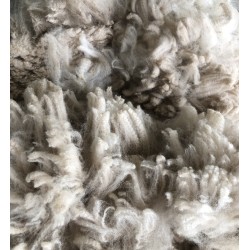 Alpaca Fleece - Light Fawn