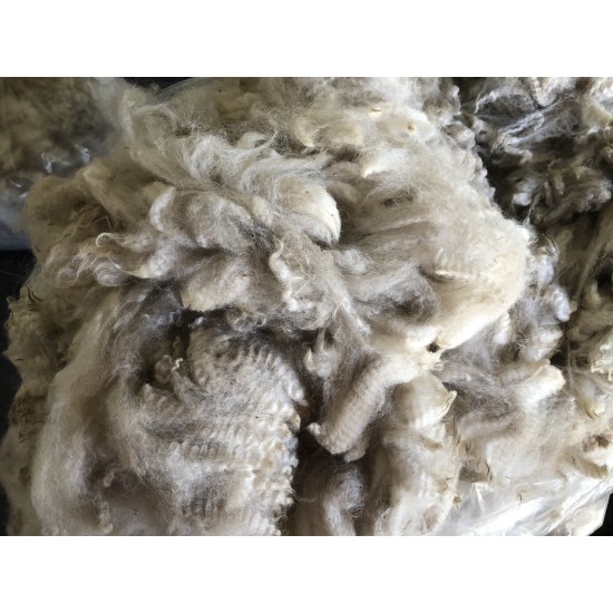 Alpaca Fleece - White