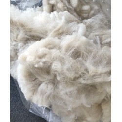 Alpaca Fleece - White