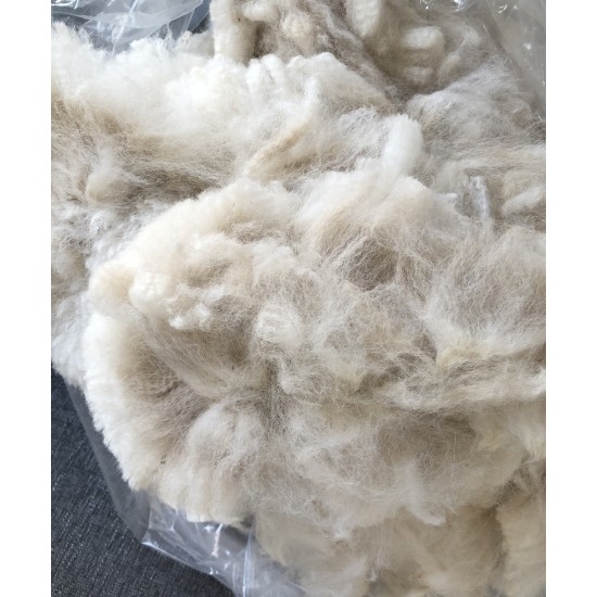 Alpaca Fleece - White