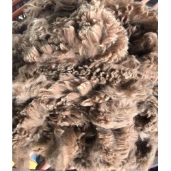 Alpaca Fleece - Brown