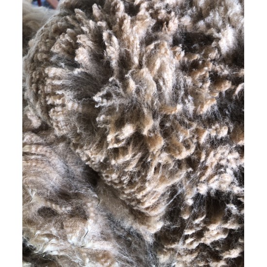 Alpaca Fleece - Fawn