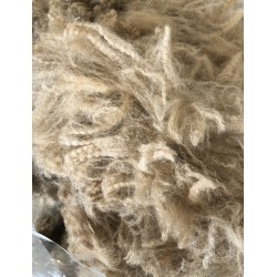 Alpaca Fleece - Fawn