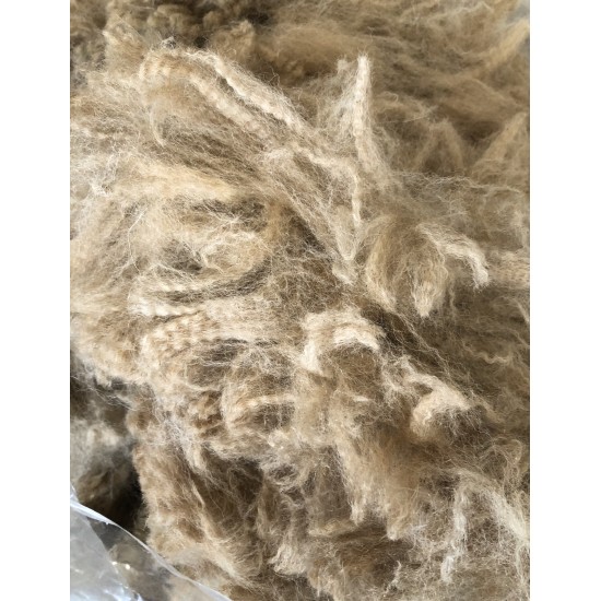 Alpaca Fleece - Fawn