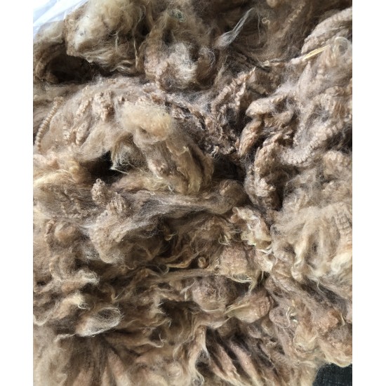 Alpaca Fleece - Med Fawn