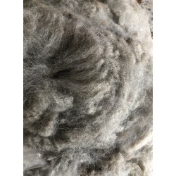 Alpaca Fleece - Grey