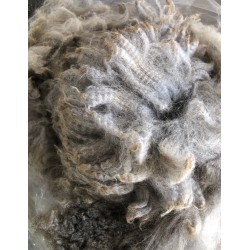 Alpaca Fleece - Grey