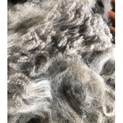 Alpaca Fleece - Grey