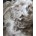 Alpaca Fleece Small