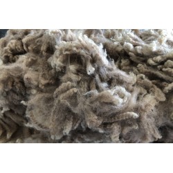 Alpaca Fleece - Med Fawn