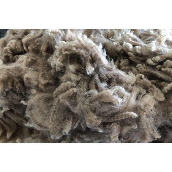 Alpaca Fleece - Med Fawn