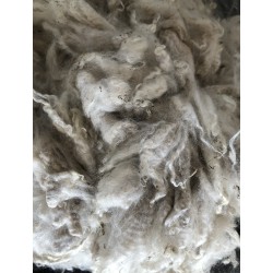 Alpaca Fleece - White