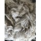 Alpaca Fleece - White