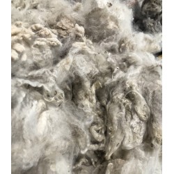 Alpaca Fleece - White