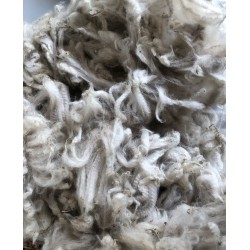 Alpaca Fleece - White