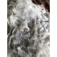 Alpaca Fleece - White