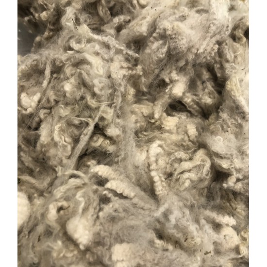 Alpaca Fleece - White