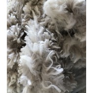 Alpaca Fleece - White 1.3kg