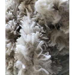 Alpaca Fleece - White