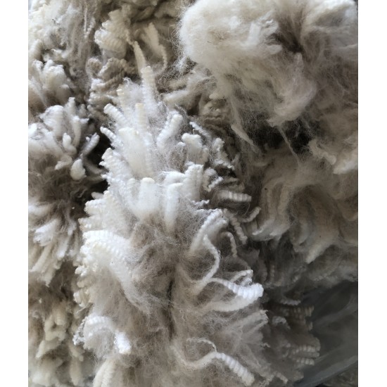 Alpaca Fleece - White