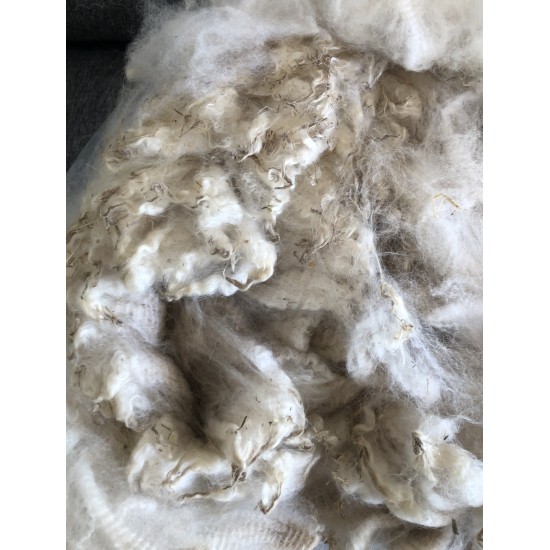 Alpaca Fleece - White