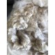Alpaca Fleece - White