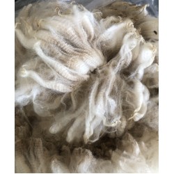 Alpaca Fleece - White