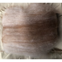 Alpaca Rovings - 50gm Medium brown/ Fawn Blend