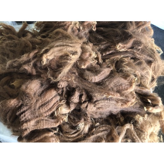 Alpaca Fleece - Brown